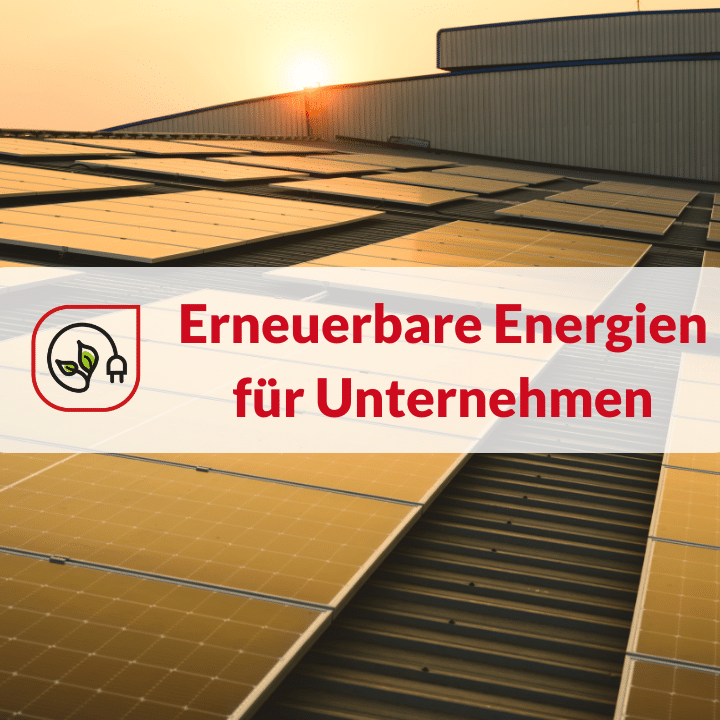 Solarpanele auf einem Dach, Beispiel für erneuerbare Energien