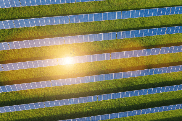 Feld mit Solarpanelen